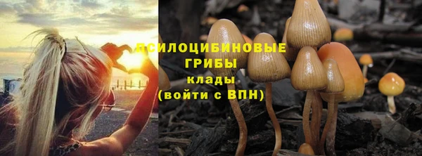 каннабис Абаза