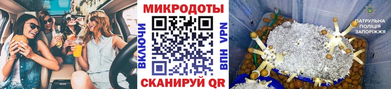 наркотики  omg ссылка  Псилоцибиновые грибы GOLDEN TEACHER  Краснодар 