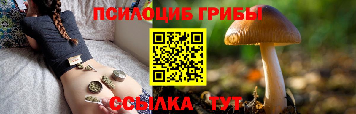 магазин  наркотиков  Галлюциногенные грибы ЛСД  Краснодар  Вход с VPN  Псилоцибиновые грибы GOLDEN TEACHER 